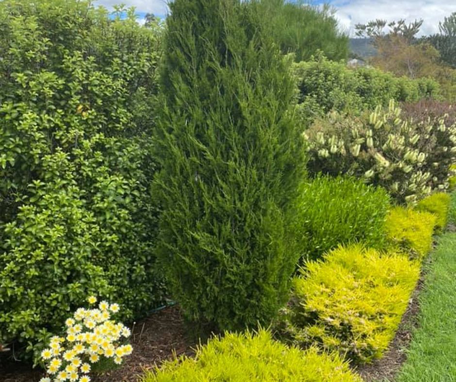 Lady Clark Centre Inc. Retirement Village  