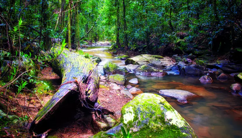 Buderim