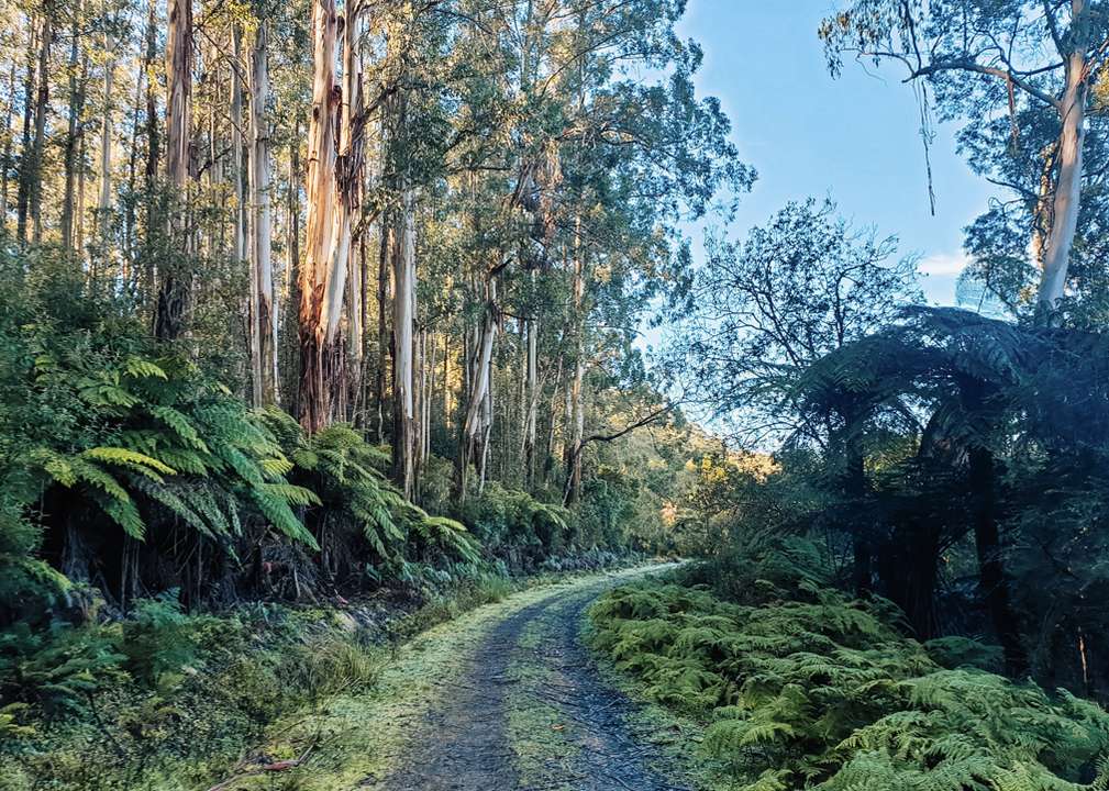 Yarra Ranges