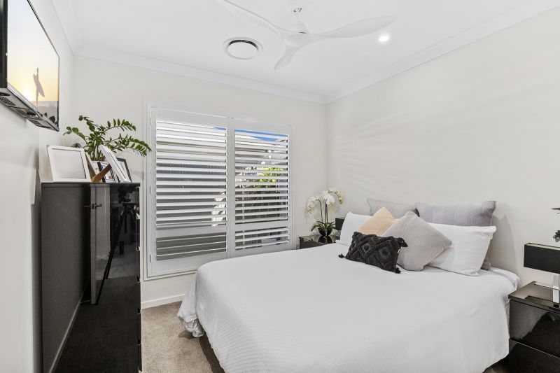 Site 264 - Established Beechmont