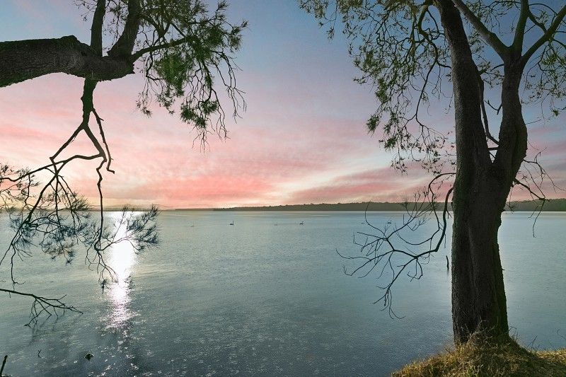 Stunning New hHme on Waterfront Reserve