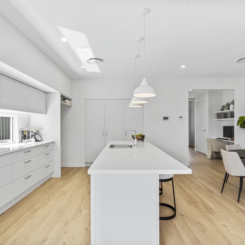 The Nautilus - Enquire today for future releases