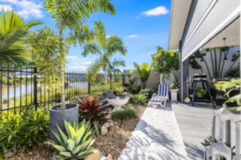 Site 262 - Established Sequoia