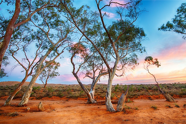 Prospecting for gold and precious stones in Australia