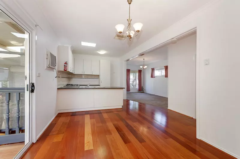 Plenty of Natural Light!