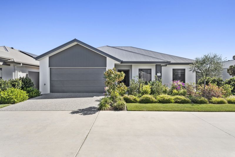 Site 446 - Established Special