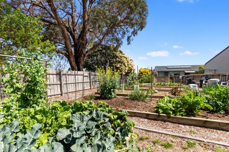 Be part of a thriving community at Knox Retirement Village