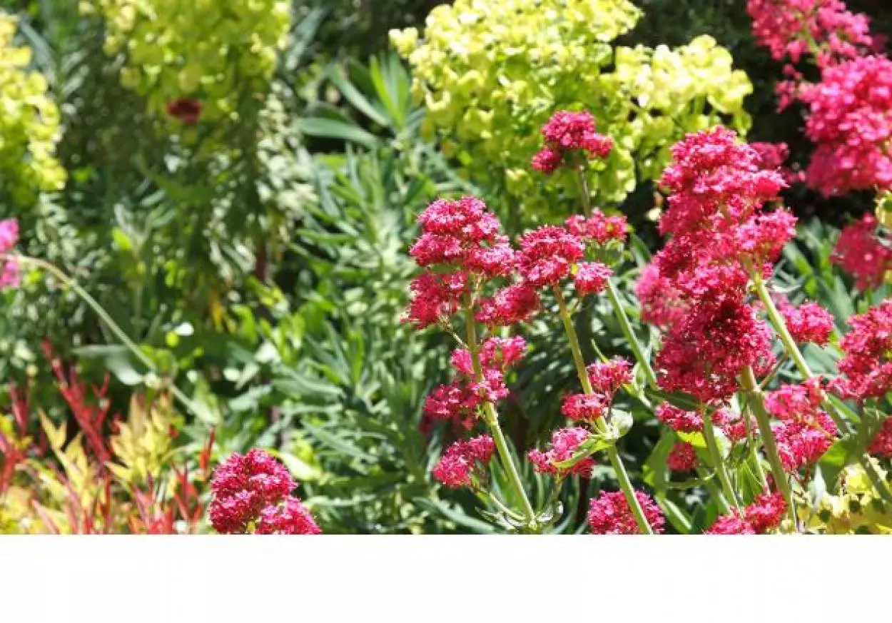 Ozanam Retirement Village