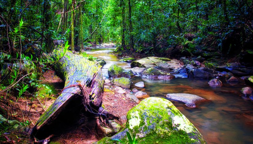 Buderim