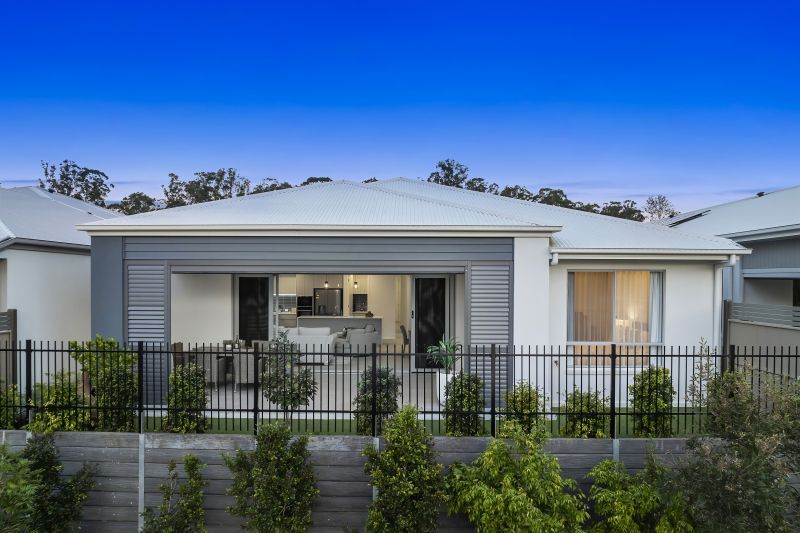 Site 258 - Established Kondalilla