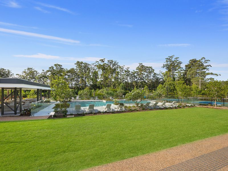 Site 24 - Established Springbrook