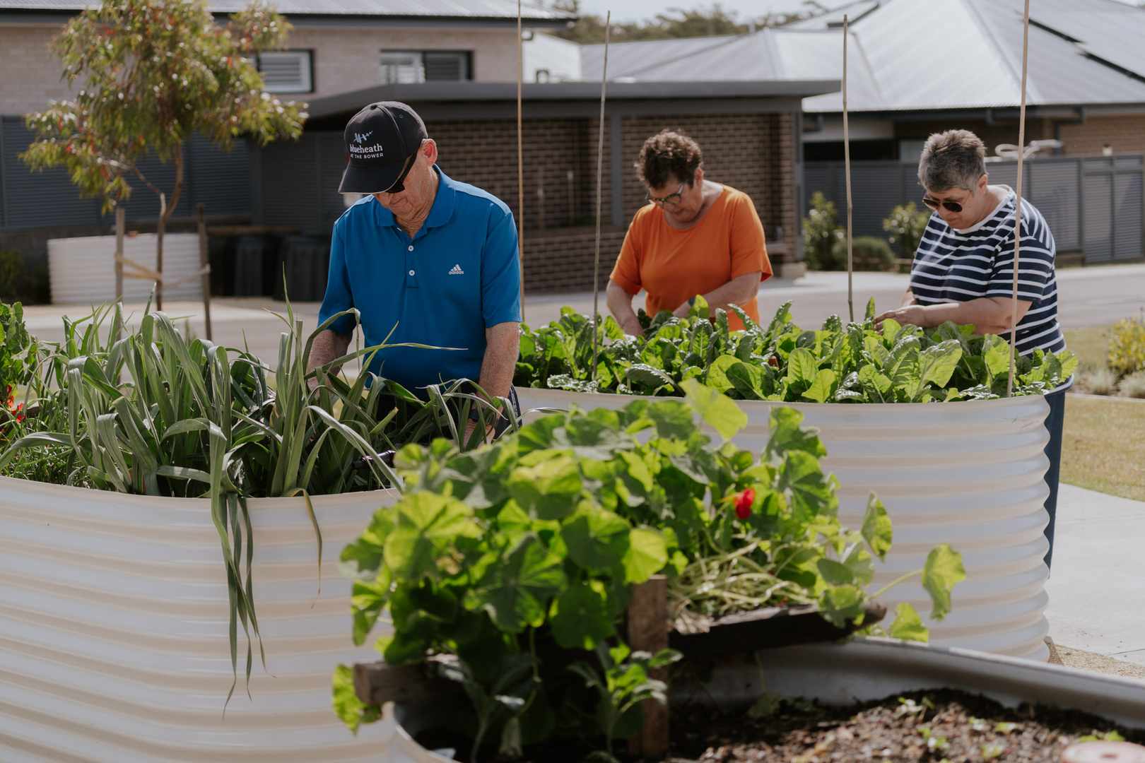 Blueheath at the Bower - Stage 7 Selling Now ! 