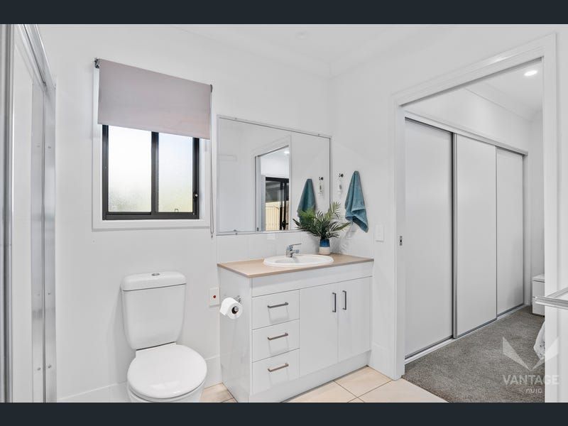 Positioned on a Light-Filled Corner Block