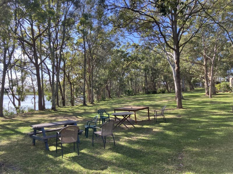 HEAR THE WAVES,SEE THE TREES