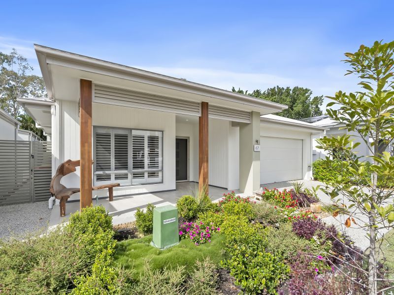 Site 67 - Established Monterey