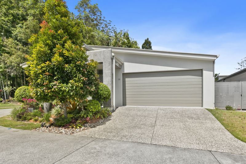 Stunning Rainforest Backdrop