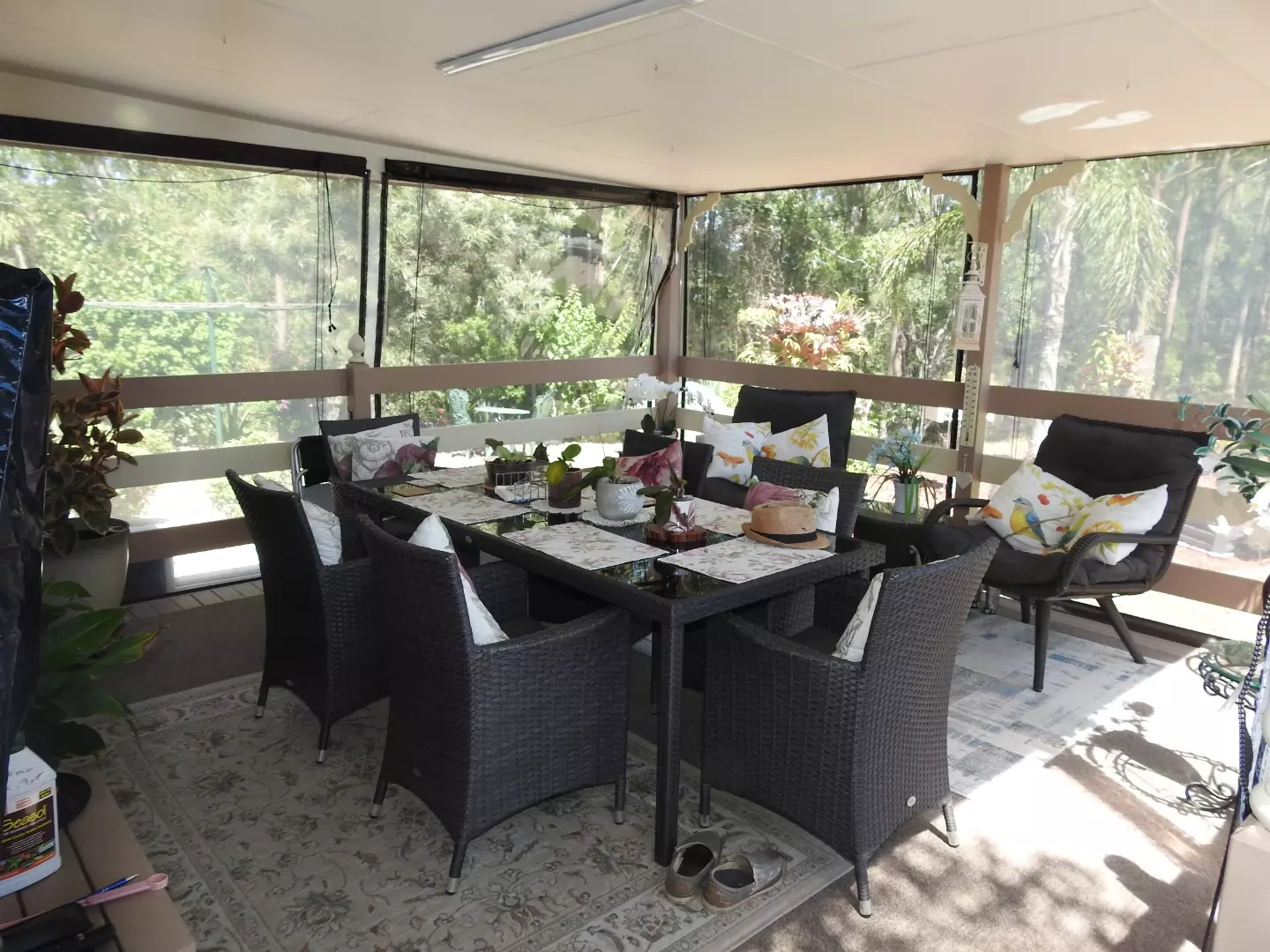 What a find in Palm Lake Resort