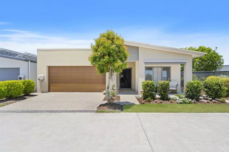 Site 231 - Established Kestral MK11