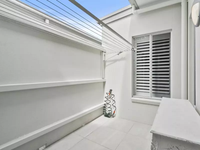 Site 299 - Established Sequoia