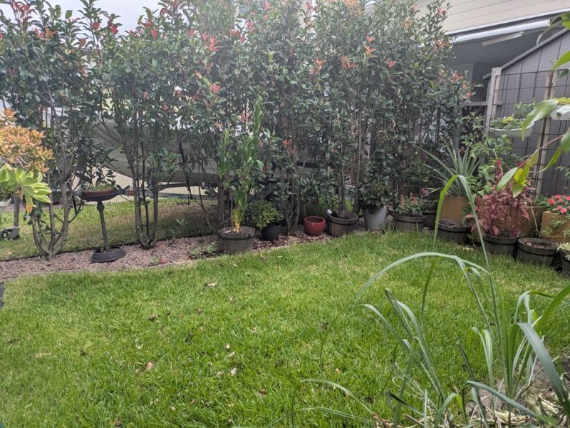 Gorgeous high-set home