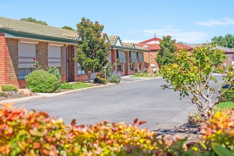 Engage in a vibrant & thriving community