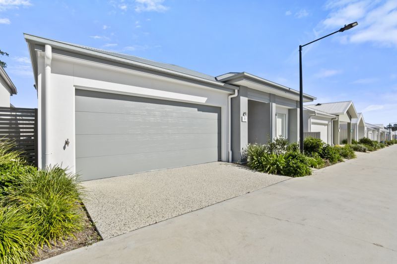 Site 9 - Established Elysian