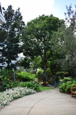 1 Bedroom Units Available @ St Vincent's Care