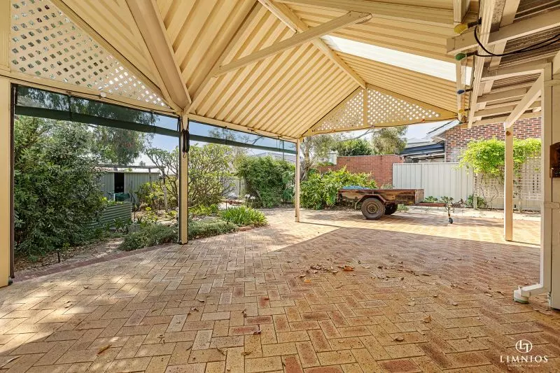 Explore your options!