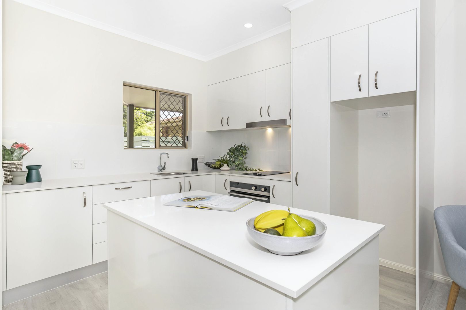 One bedroom apartment in a great location