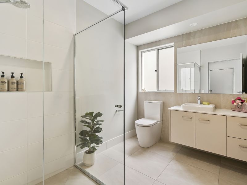 Site 299 - Established Sequoia