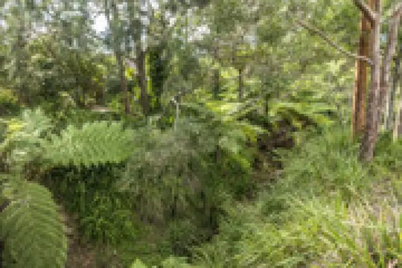 Newly Renovated ! Charming Retirement Retreat Serviced Apartment