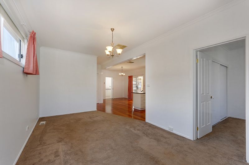 Plenty of Natural Light!