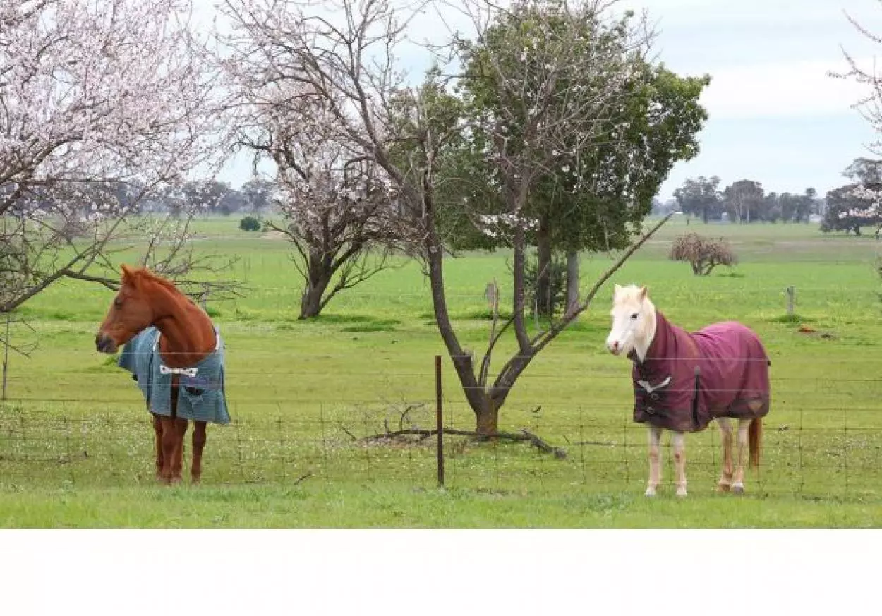 Southern Cross NSW - Karinya Village