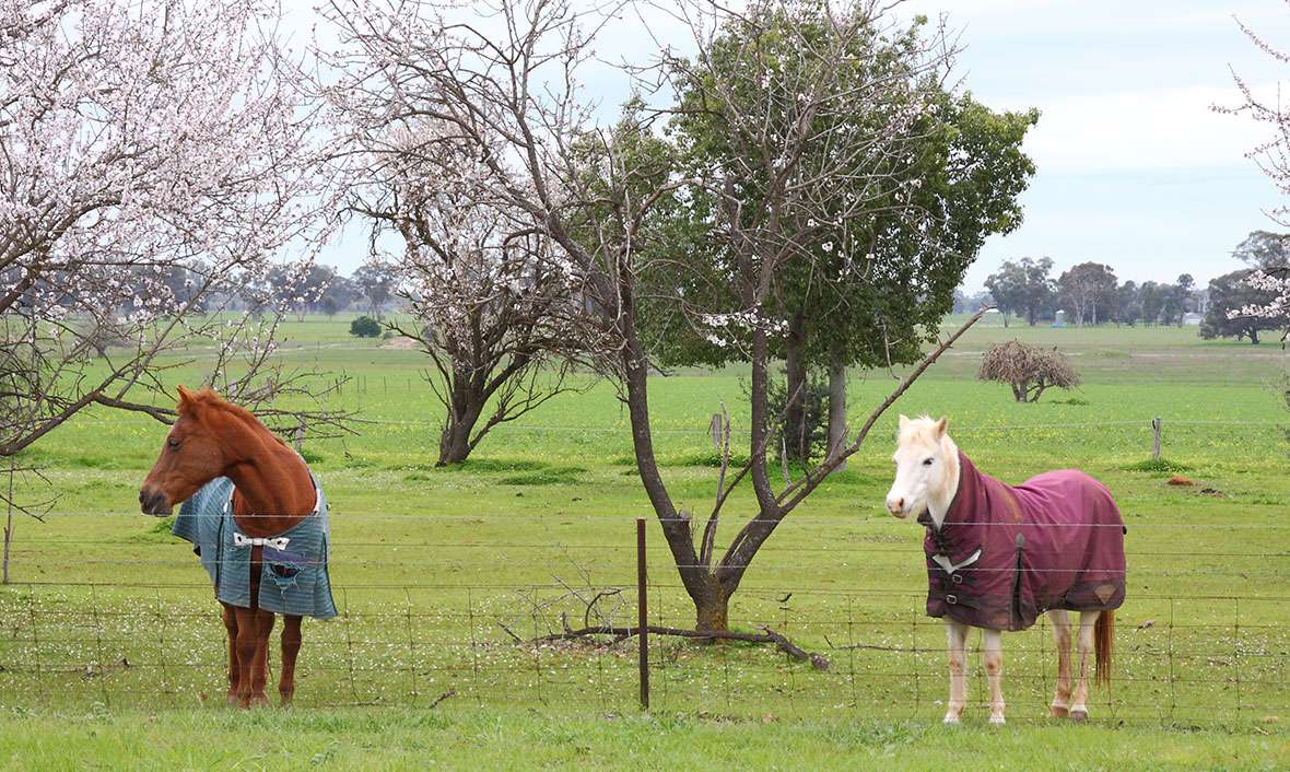 Karinya Residential Aged Care