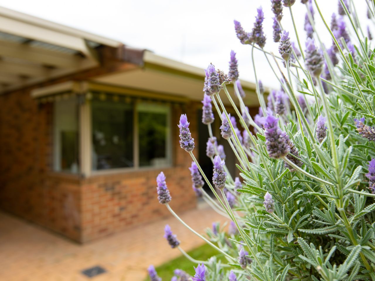 68/160 Springvale Road, Donvale