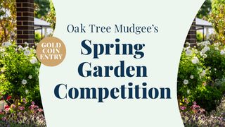 Spring Garden Competition