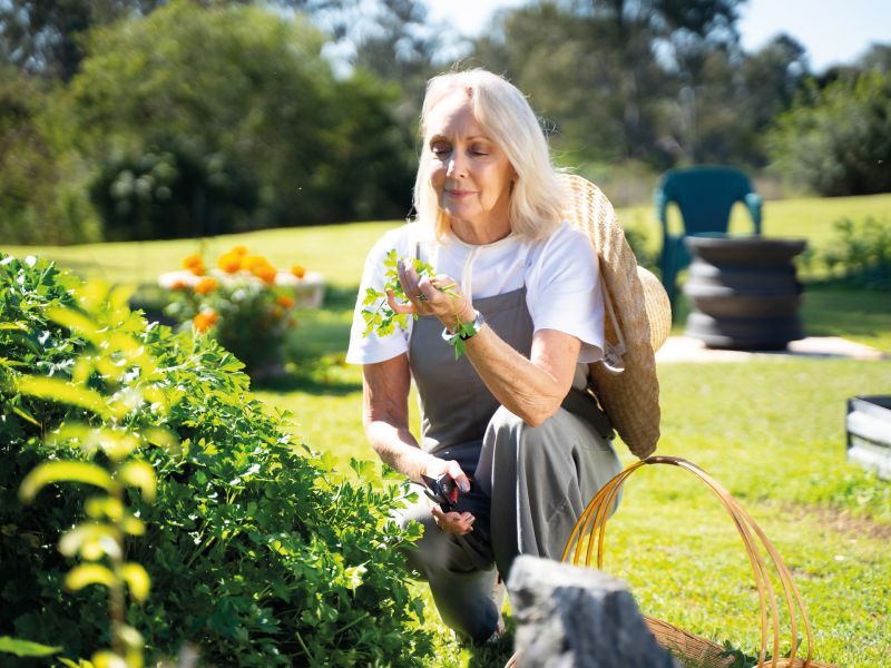 Introducing the Trentino - Available June 2023 / Final Release