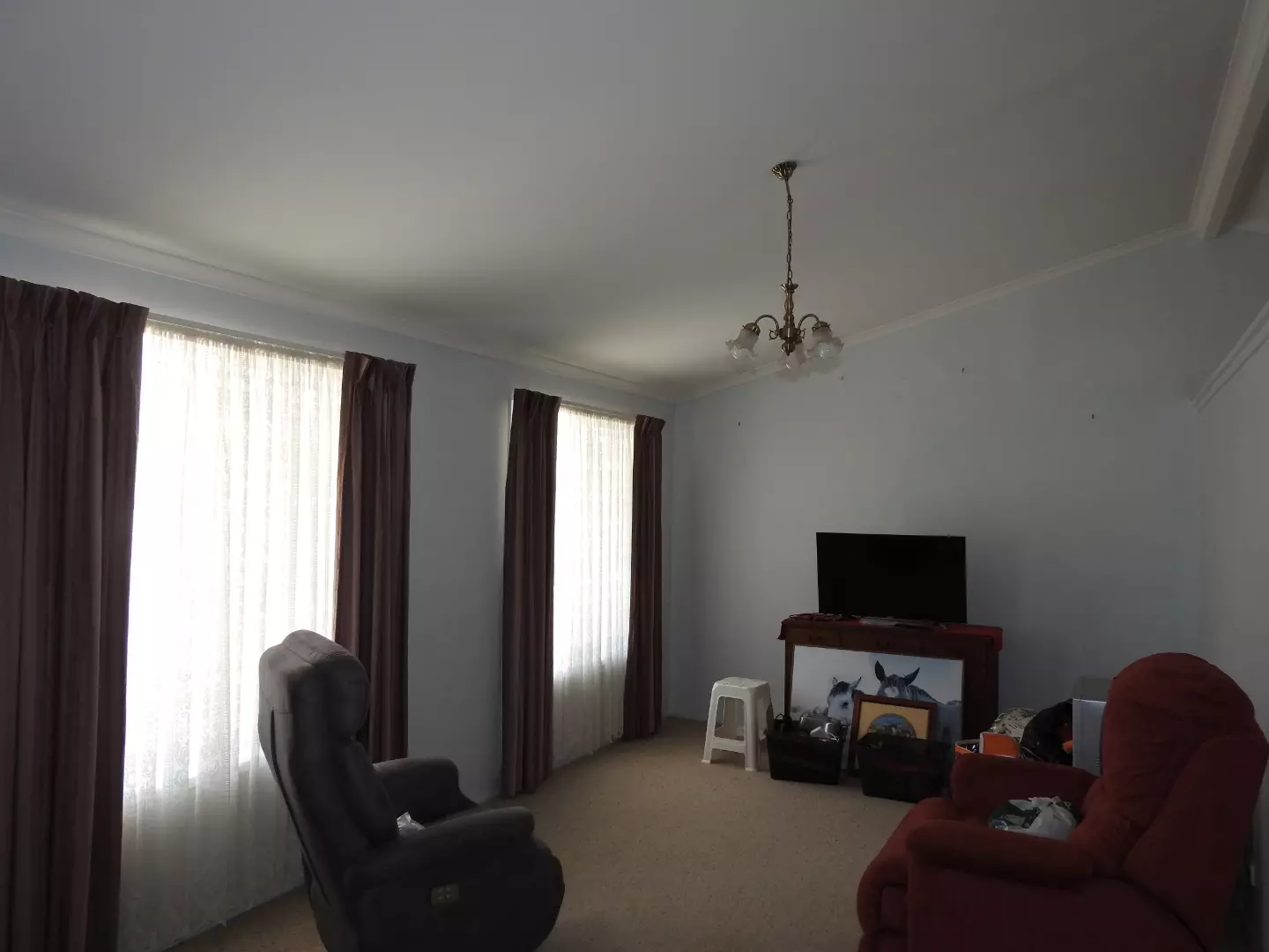 Great little Renovator