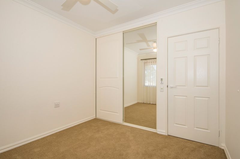 What more could you want?