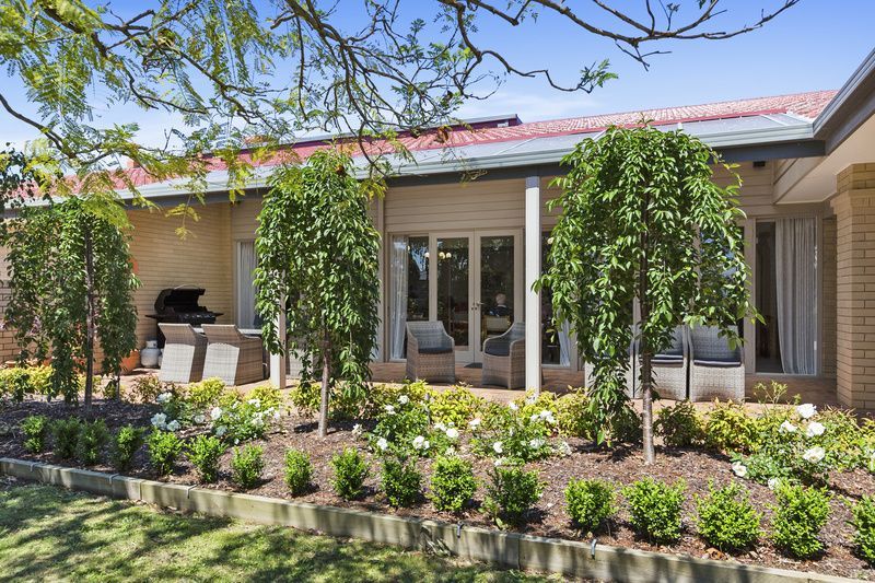 Pet-friendly living with premium finishes