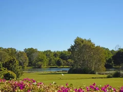 When Position is Everything