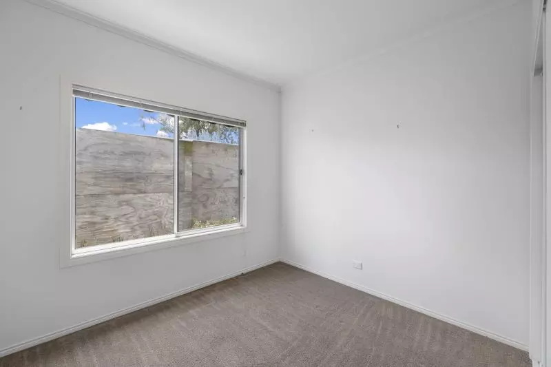 Blank Canvas – Endless Potential!