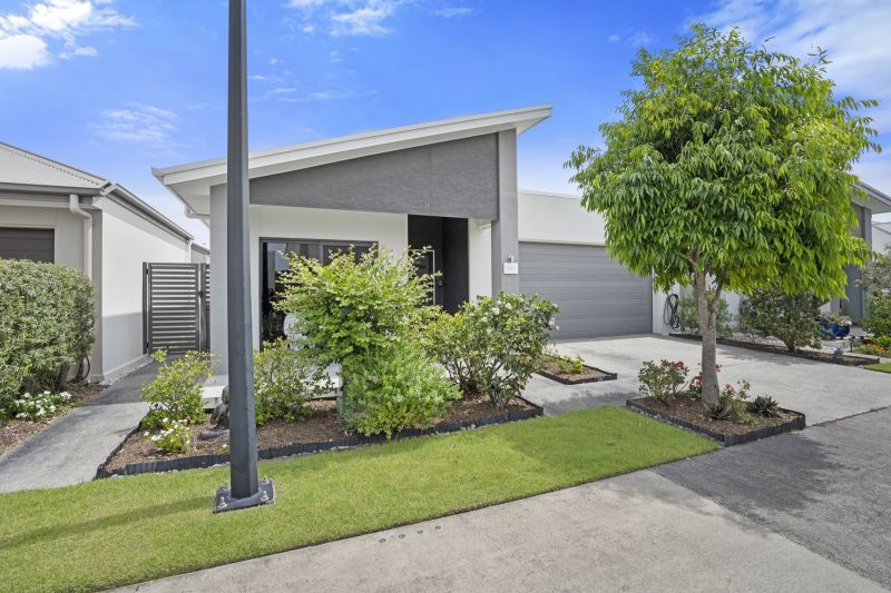 Site 147 - Established Atoll