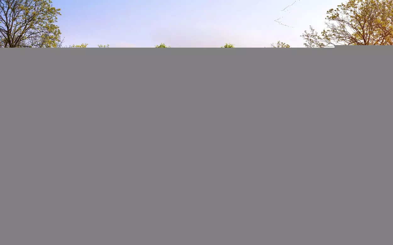 ELEGANT LUXURY RETIREMENT - Villa 29 MARSTON LIVING GALSTON