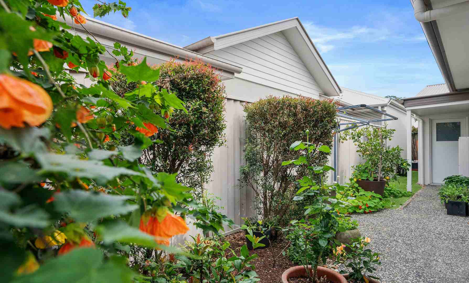 Alexandra by Palm Lake Resort