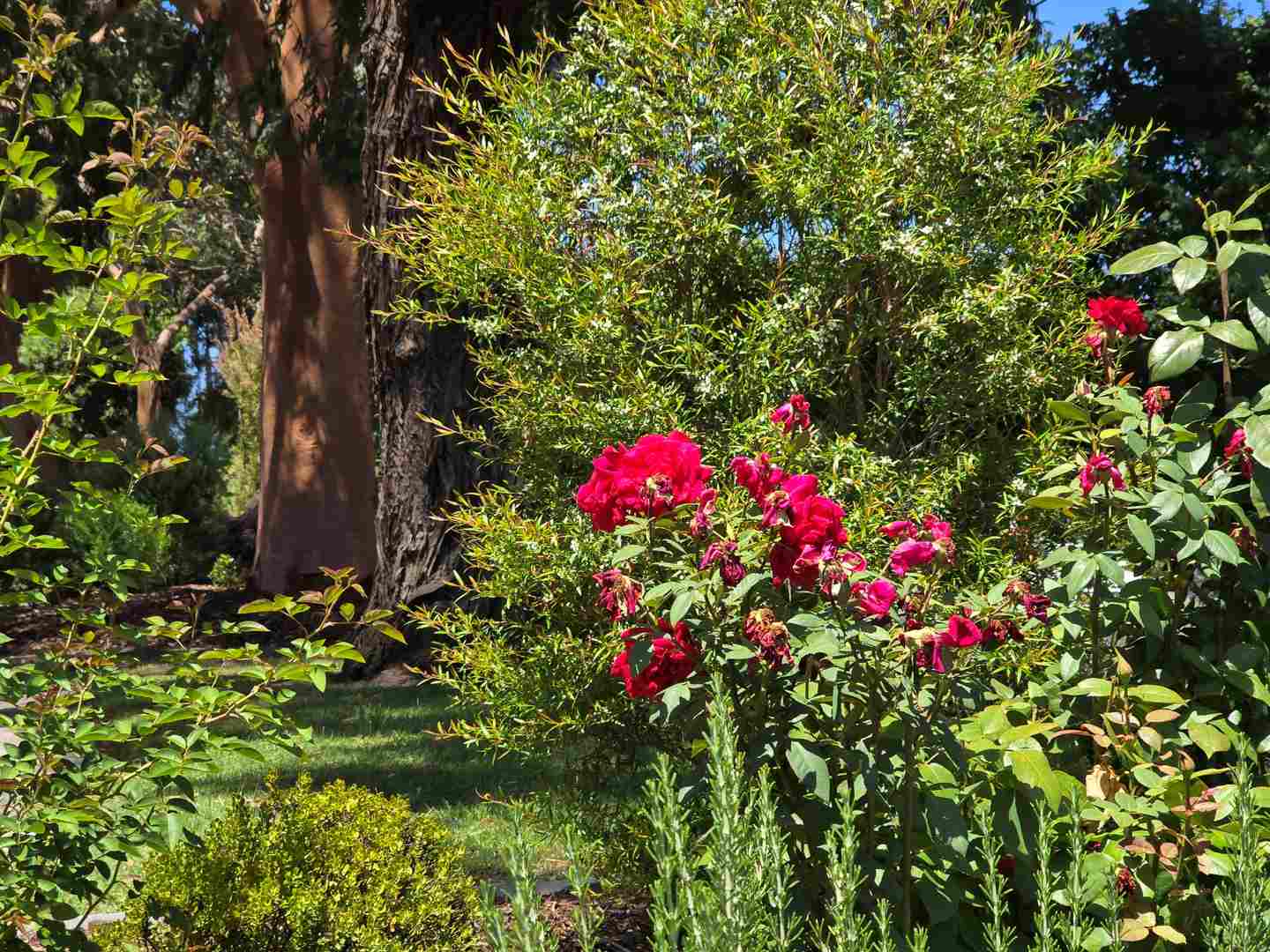 Maranoa Close Retirement Village, Freehold Strata Title unit.