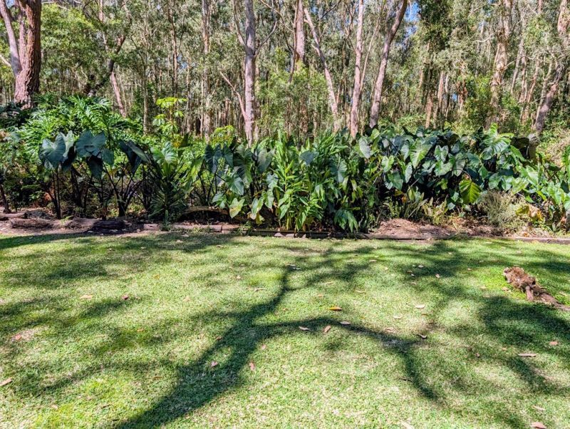 Unique property just listed