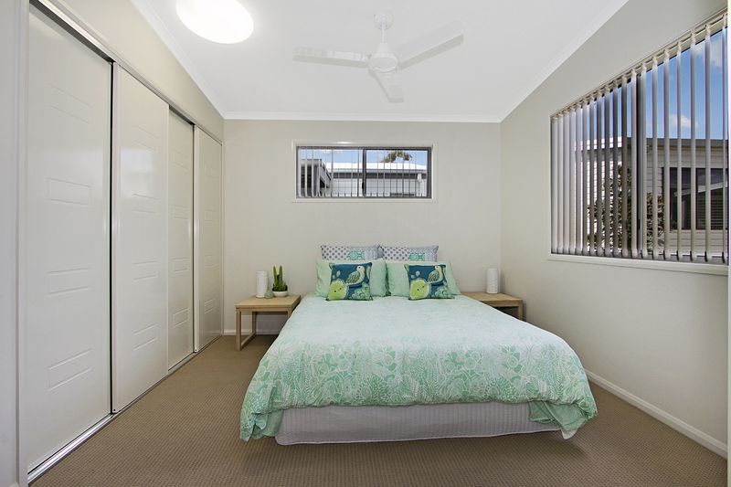 Astelia will steal your heart 