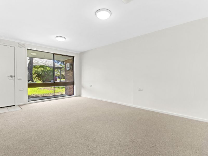 Fresh Interiors, Generous Courtyard