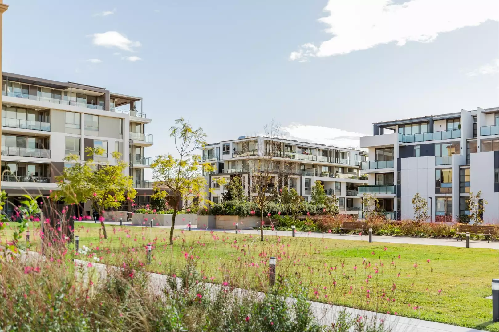 235/137 Victoria Street, Cardinal Freeman Retirement Village, Ashfield